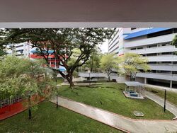 Blk 267 Tampines Street 21 (Tampines), HDB 4 Rooms #501937901